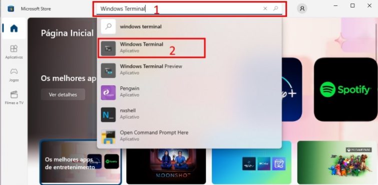 Pesquisando Windows Terminal na Microsoft Store