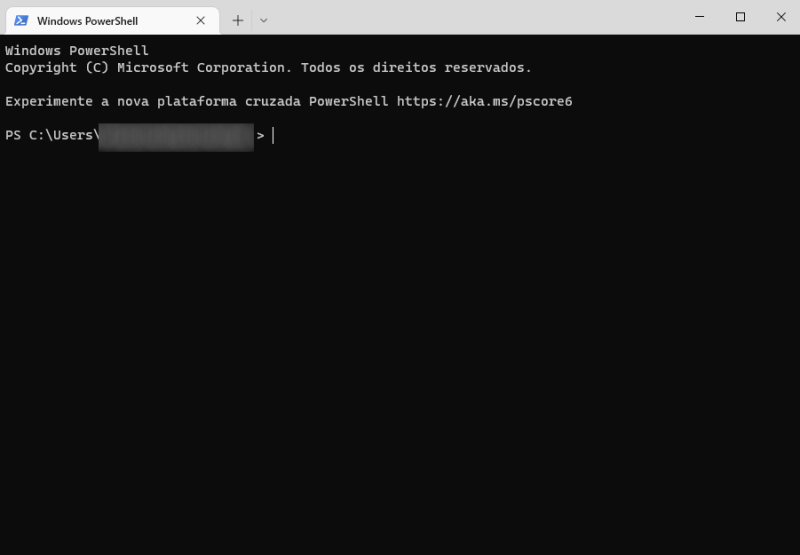 Windows Terminal instalado no Windows 10