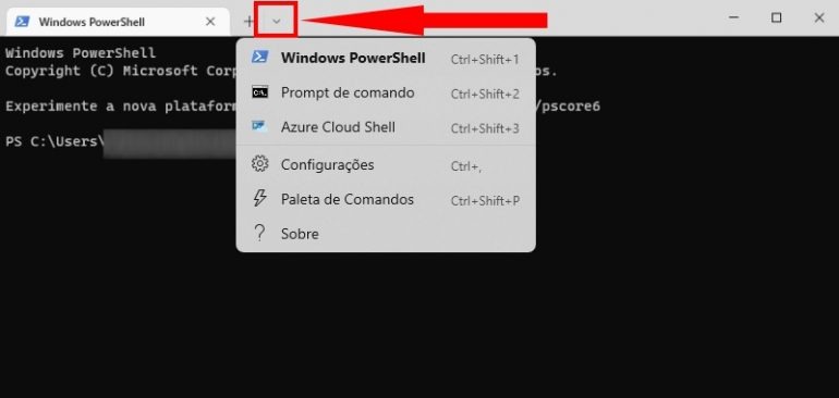 Tipos de terminal de termina dentro do Windows Terminal.